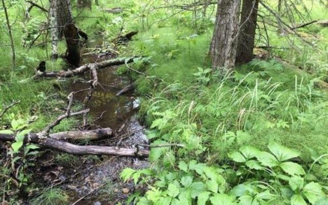 Sleepy Creek Country Manor