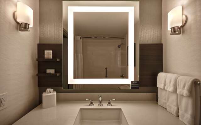Hilton Garden Inn Detroit Metro Airport