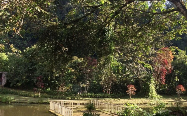 Charco corazón