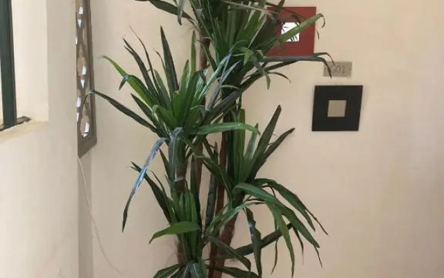 Marassi North Coast EGYPT