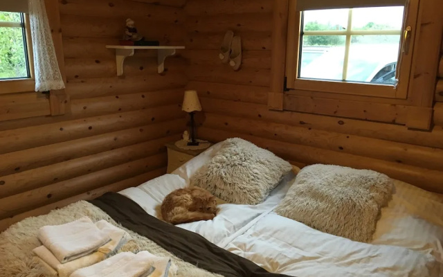 Log Cabin at White River