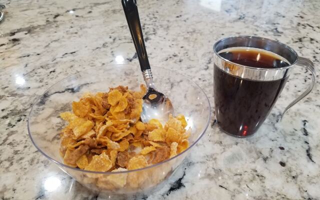 Super 8 Ohare Chicago Elk Grove Village