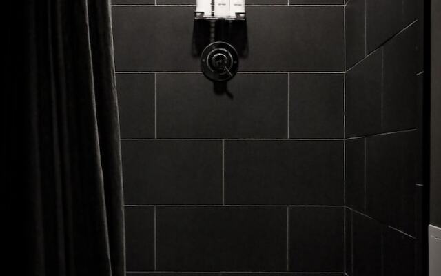 The Grant by Black Swan