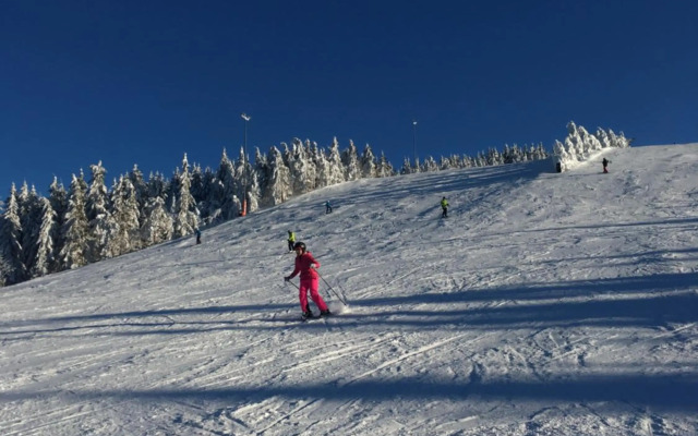 Blackforest Apartment