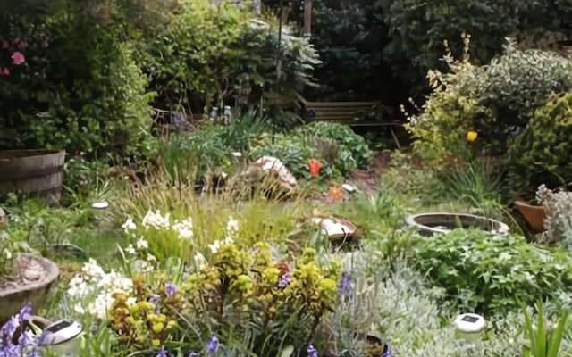 Mere Cottage B&B