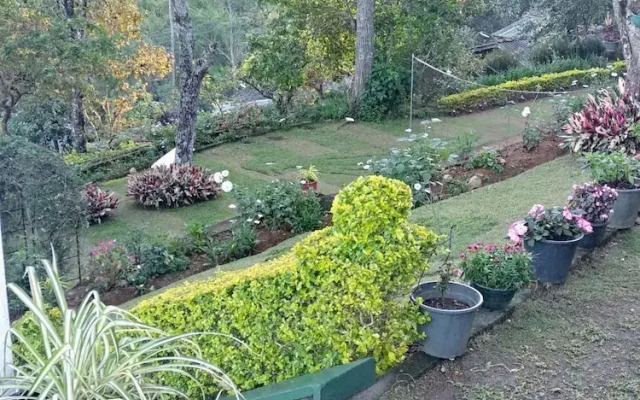 Miselly's Bangalow Hostel