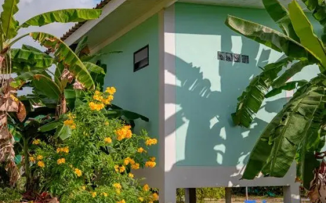 Deniz’s Modern Nature Retreat