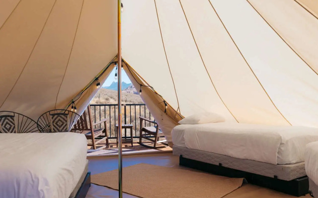 Zion Wildflower, BW Premier Collection