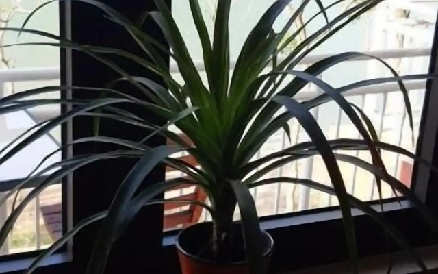 Restful River Bungalow