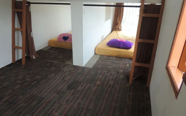 Penginapan Dieng 0km