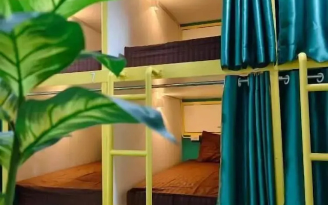 Banana Bunkhouse Hostel
