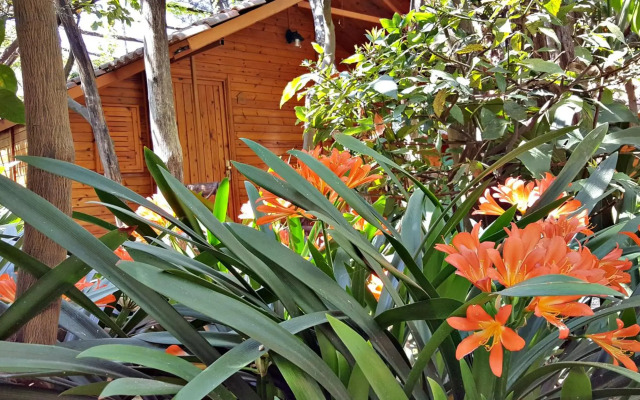 Villaggio Verde
