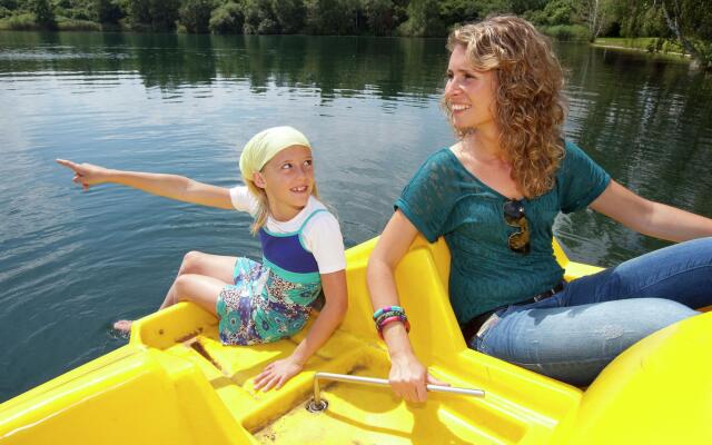 Luxurious Detached Villa With Washer, in De Maasduinen Area