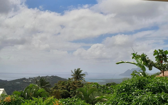 KAY MIT et KAY JACKO