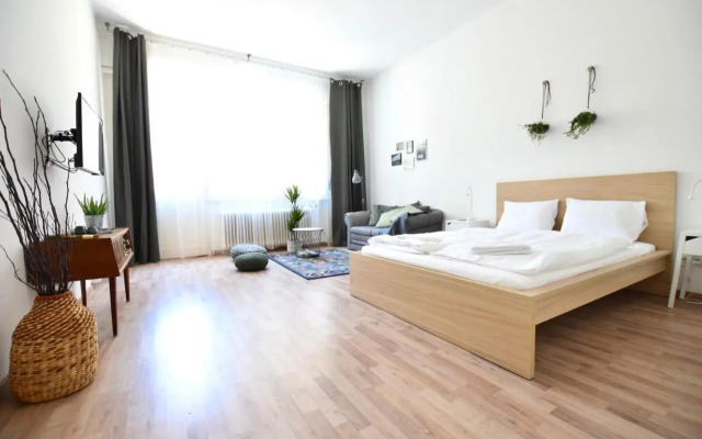 Standard Apartment by Hi5 - Fejer Gyorgy St