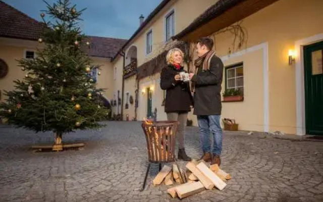 Bauernhof Winzerhof Bogner