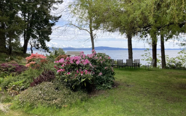 Sea La Vie Rare Peaceful Hidden Gem