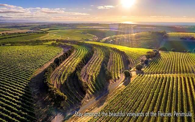 The Old Chaff Mill Organic Vineyard Retreat