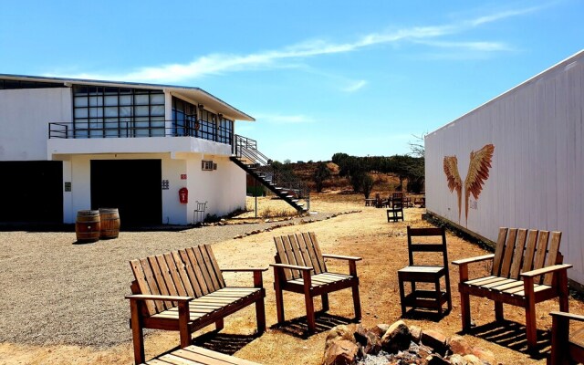 Wine country In Valle de Guadalupe