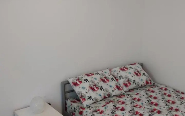 Casa Cu Tei