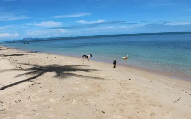 Bungalow Samui Ocean View
