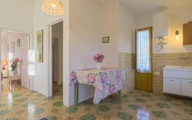 Conte Francesco I 231S