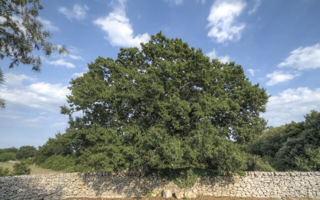 Trullo Pagliaro Cisternino by Typney