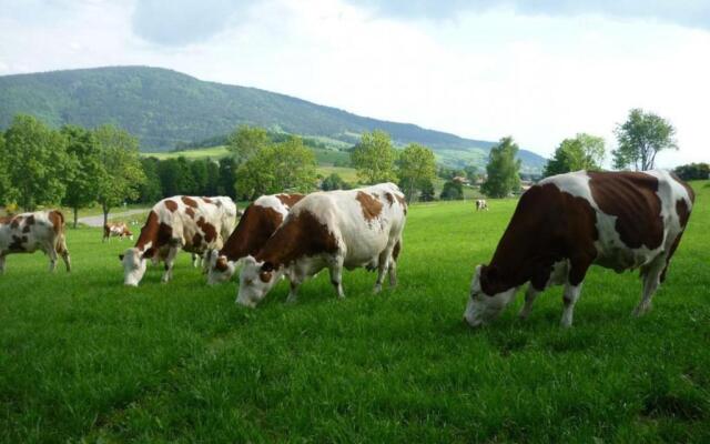 Gîte Sauvain, 4 Pièces, 6 Personnes - Fr-1-496-94