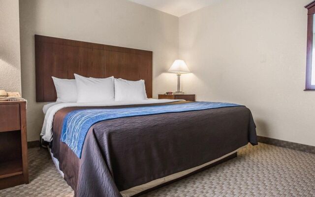 Quality Inn & Suites