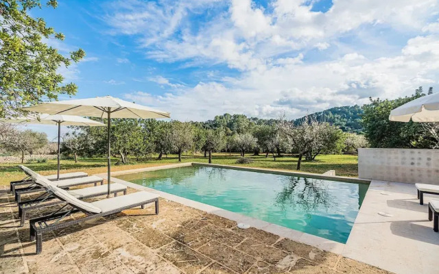 NEW 2020 - Empaltada