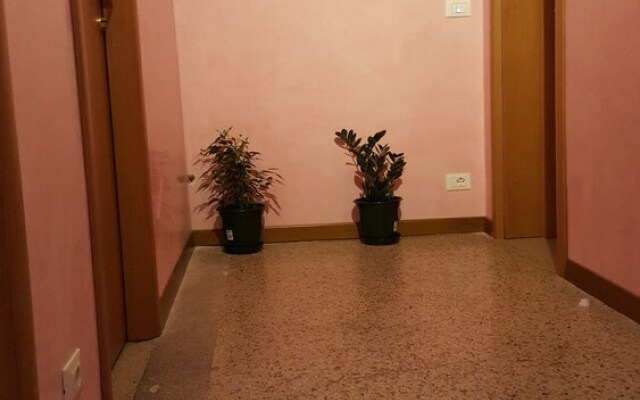 B&B Moderna