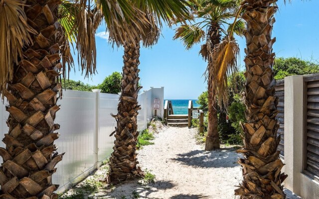 Dragonfly Dreams 30A