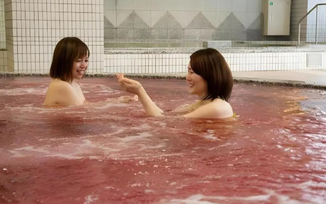 Spa Land Hotel Naito