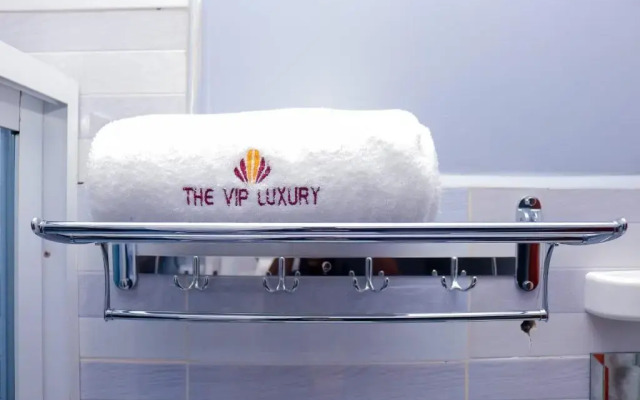 The VIP Luxury Lounge