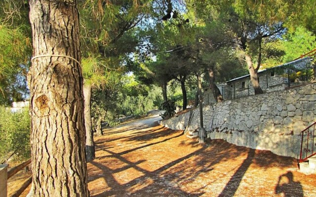 Residence Mattinatella