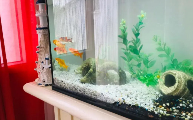 Appartamento a 50 metri dal mare.