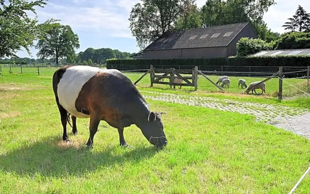 De Lakenvelder B&B Eersel