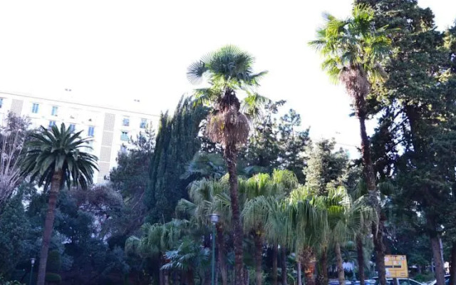 Centragence - Le Grand Cedres