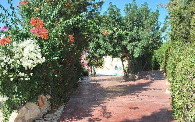 Dionysus Tranquil Villa