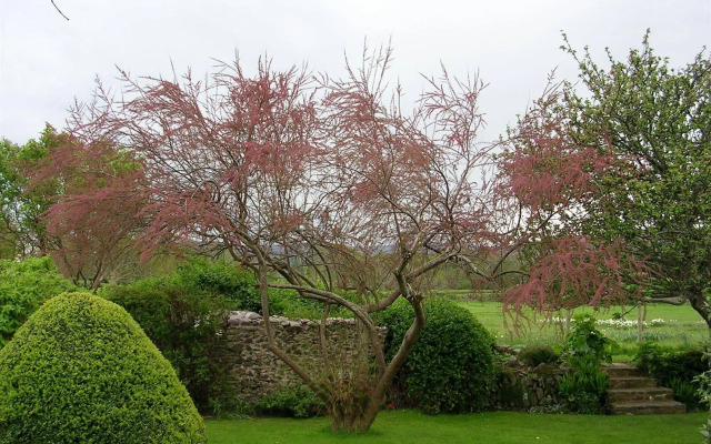 Tudor Cottage