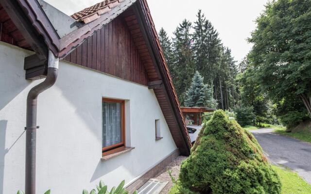 Charming Apartment in Finsterbergen Thuringia with Garden