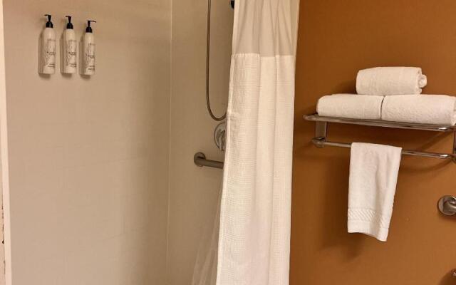 Fairfield Inn & Suites by Marriott Atlanta Suwanee