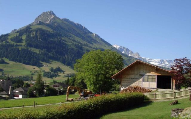 Studio Elsighorn Frutigen