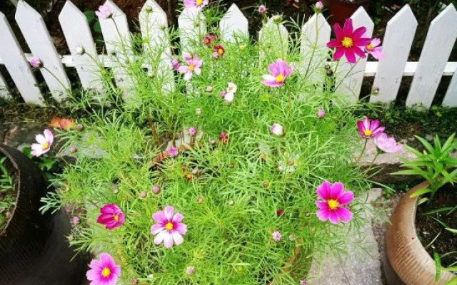 Nanting Sea Home Stay No.19