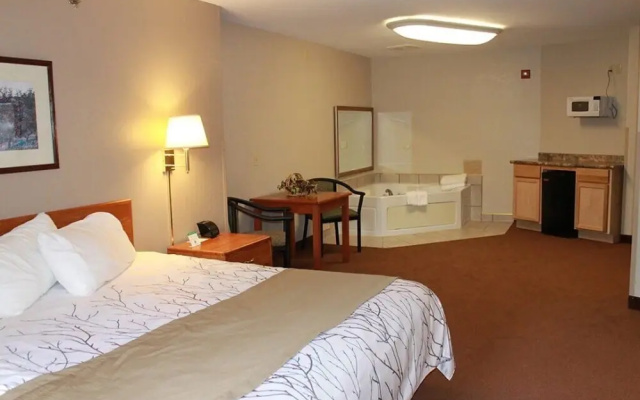 Edmore Inn