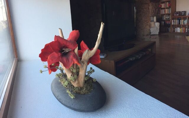 S'Estudi - Son Nebot