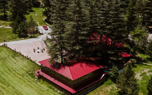 Başkonuş Yaylası Orman Evleri