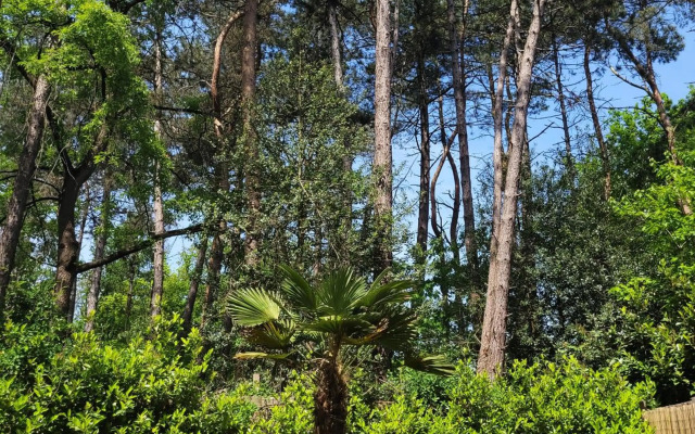 Secret Wellness Boszicht