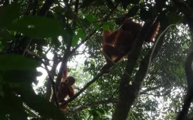 Batu Kapal Guest House