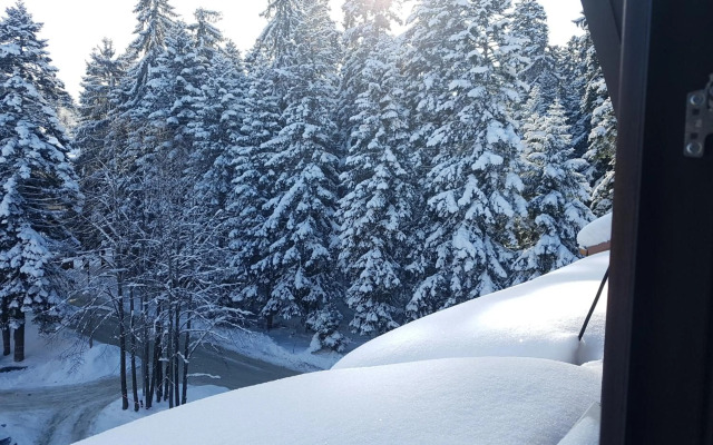 PinePino Borovets, aparthotel Borovets Gardens A60